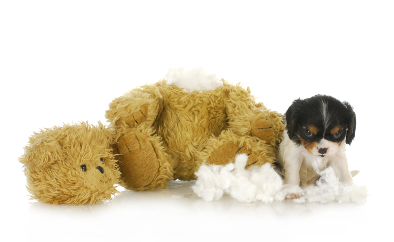 Bulky Waste Items: Tips for a Thrifty Cleanout